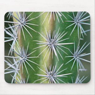 Der Huntington Botanical Garden, Krake-Kaktus Mousepad