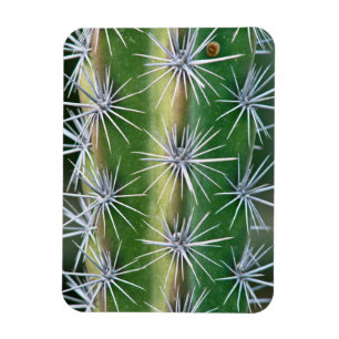 Der Huntington Botanische Garten, Krake-Kaktus Magnet