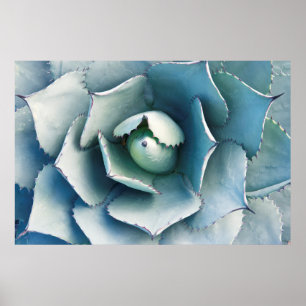 Der Huntington Botanische Garten Poster