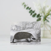 "Der Igel" Postkarte (Stehend Vorderseite)