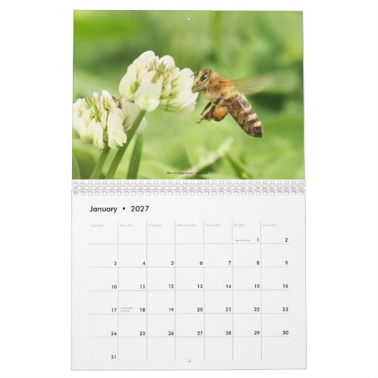 Der Imker-Kalender 2013 Kalender (Jan 2027)