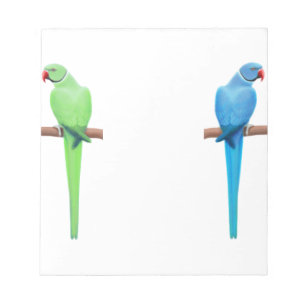 Der indische Ringneck Parakeet-Notizblock Notizblock