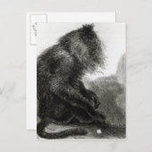 Der indische Waderoo-Affe Postkarte (Vorne/Hinten)