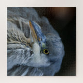 Der intensive Blick auf einen grauen Helden im Nah Puzzle (Horizontal)