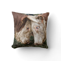 Der ist nicht kein Stier