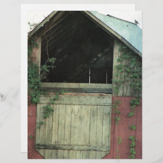 Der ivy Barn (Vorne/Hinten)