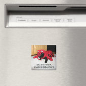 DER IZ SPESHUL ORT IN HILFE FÜR U MAGNET (In Situ (Geschirrspüler))