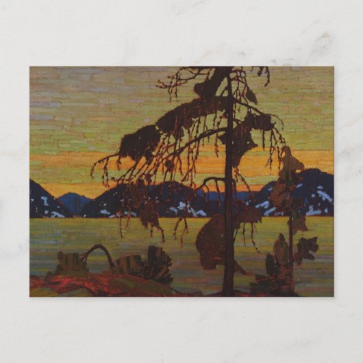 Der Jack Pine Postkarte (Vorderseite)