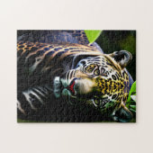 Der Jaguar - Der feurige Dschungel-Raubtier Puzzle (Horizontal)