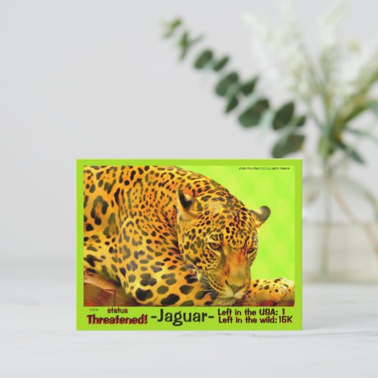 Der Jaguar ist ein gefährdetes Tier - Postkarte (Stehend Vorderseite)