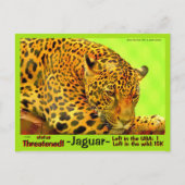 Der Jaguar ist ein gefährdetes Tier - Postkarte (Vorderseite)