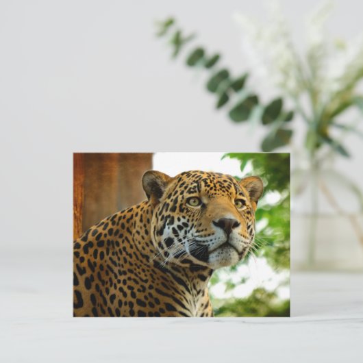 Der Jaguar Postkarte (Stehend Vorderseite)