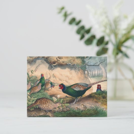 Der japanische Fasant von Joseph Wolf Postkarte (Stehend Vorderseite)