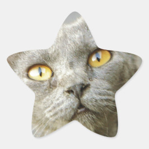 Der Jean-Grau der letzten Hoffnung Stern-Aufkleber