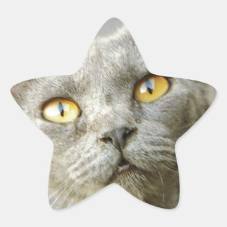 Der Jean-Grau der letzten Hoffnung Stern-Aufkleber