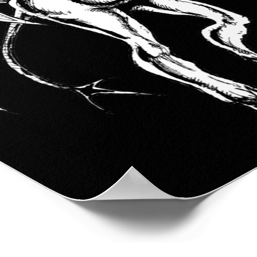 Der Jersey Devil Poster (Ecke)