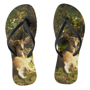 Der junge Buck auf der Wiese Badesandalen
