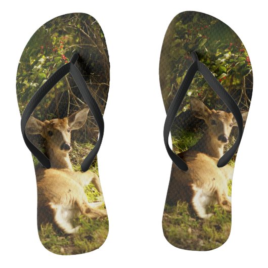 Der junge Buck auf der Wiese Badesandalen (Fußbett)
