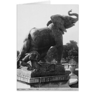 Der junge Elefant fing in einer Falle