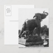 Der junge Elefant fing in einer Falle Postkarte (Vorne/Hinten)