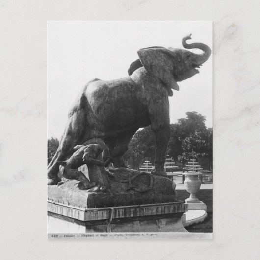 Der junge Elefant fing in einer Falle Postkarte (Vorderseite)