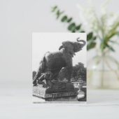 Der junge Elefant fing in einer Falle Postkarte (Stehend Vorderseite)