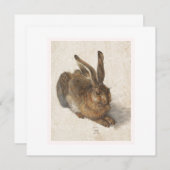 Der junge Hase (Vorne/Hinten)