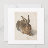 Der junge Hase (Vorderseite)