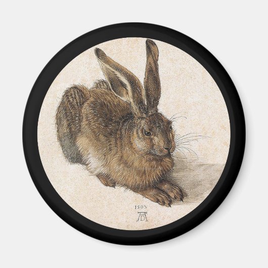 Der junge Hase Magnet (Vorne)