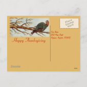 Der Junge und die Türkei Postkarte (Rückseite)