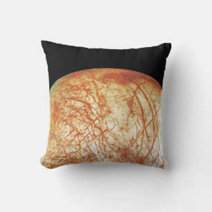 Der Jupiter-Mond Europa Kissen