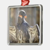 Der Juvenile King-Geier breitete Flügel aus Ornament Aus Metall (Links)