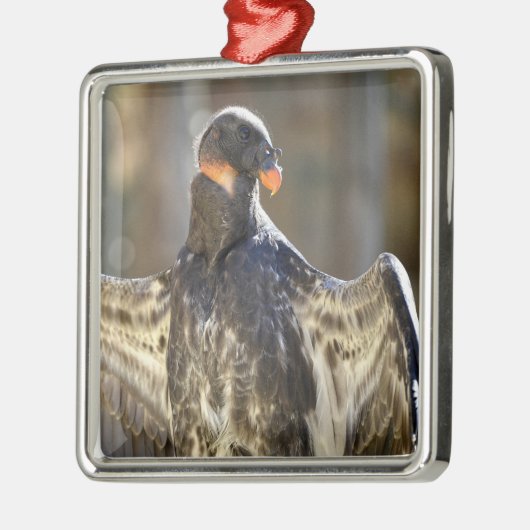 Der Juvenile King-Geier breitete Flügel aus Ornament Aus Metall (Links)