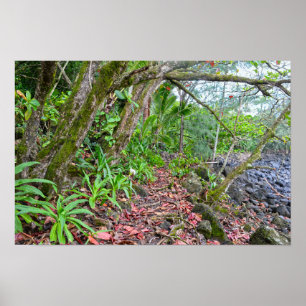 Der Kalalau-Trail, Napali-Küste, Kauai, Hawaii Poster