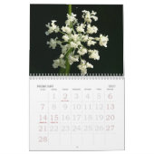 Der Kalender 2010 der Natur (Feb 2027)