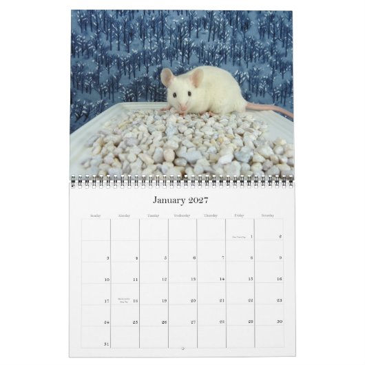 Der Kalender 2012 des Mäuseliebhabers (Jan 2027)