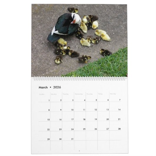 DER KALENDER 2024 (Mär 2026)