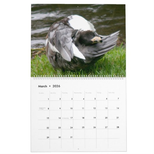 DER KALENDER 2024 IN SCHWARZ GEHALTENE ENKER (Mär 2026)