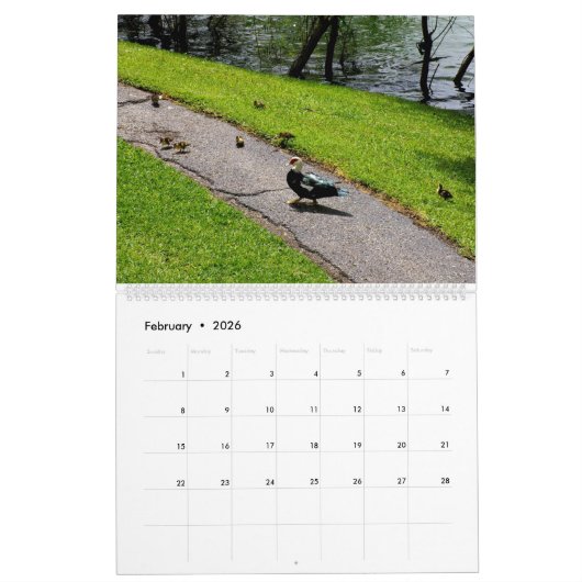 DER KALENDER 2025 (Feb 2026)