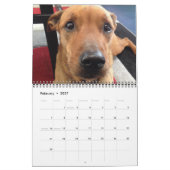 Der Kalender der besten Freunde Hunde! (Feb 2027)