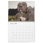 Der Kalender der besten Freunde Hunde! (Jan 2027)