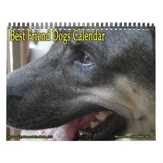 Der Kalender der besten Freunde Hunde! (Titelbild)