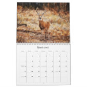 Der Kalender der künstlerischen Fotografie (Mär 2027)