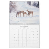 Der Kalender der künstlerischen Fotografie (Jan 2027)