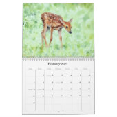 Der Kalender der künstlerischen Fotografie (Feb 2027)