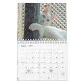 Der Kalender der Ruhe 2014 (Mär 2027)