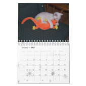 Der Kalender der Ruhe 2014 (Jan 2027)