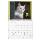 Der Kalender der Ruhe 2014 (Feb 2027)