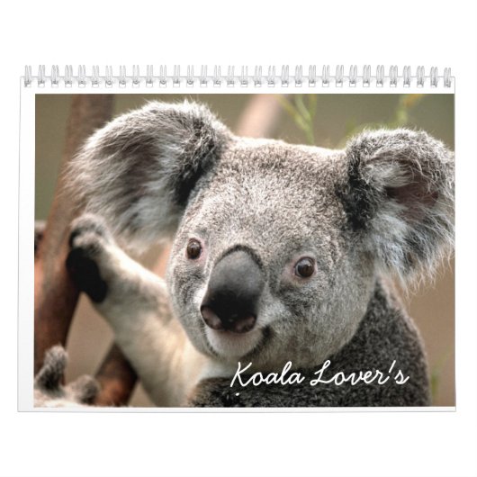Der Kalender des Koala-Liebhabers (Titelbild)