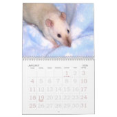 Der Kalender des Ratten-Liebhabers: 2019 (Jan 2026)